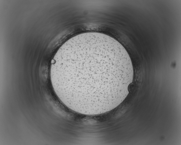 X0000116600648200912312058