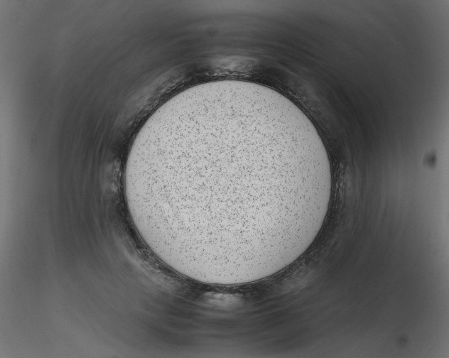 X0000116600649200912312058