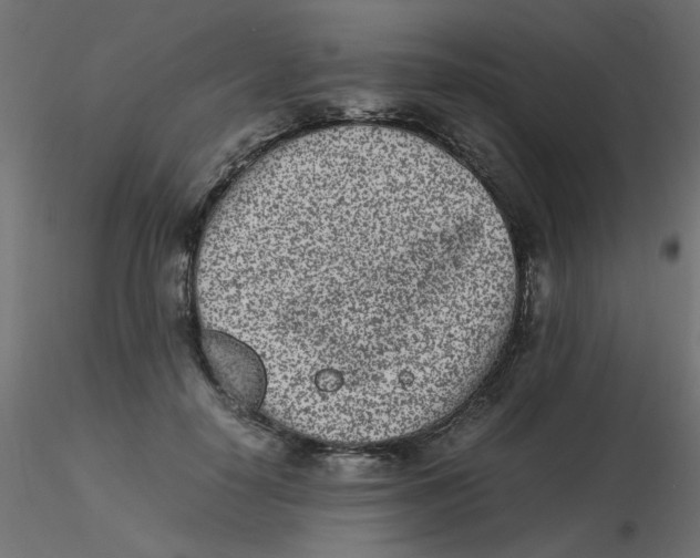 X0000116600650200912312058