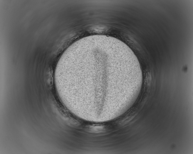 X0000116600651200912312058