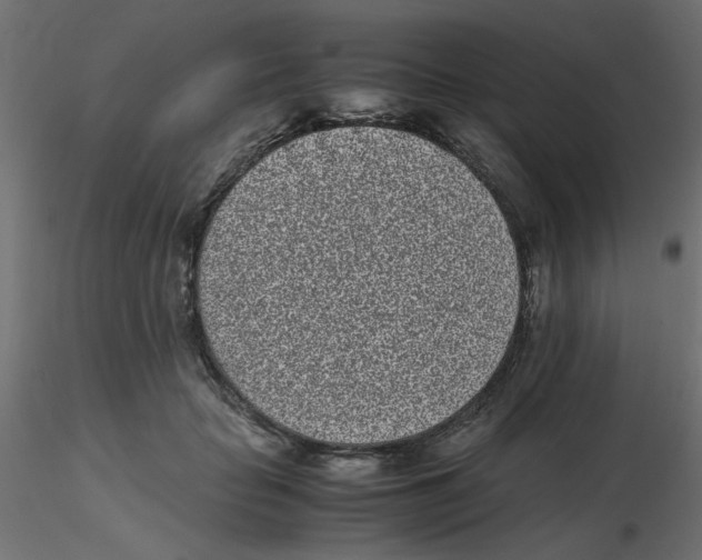 X0000116600653200912312058