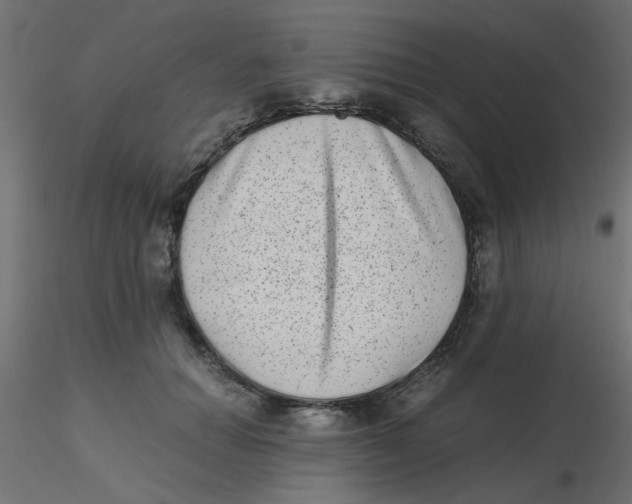 X0000116600654200912312058