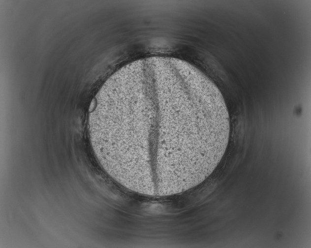 X0000116600655200912312058