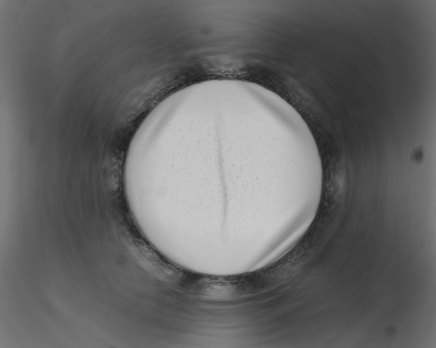 X0000116600658200912312058