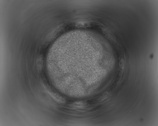 X0000116600659200912312058