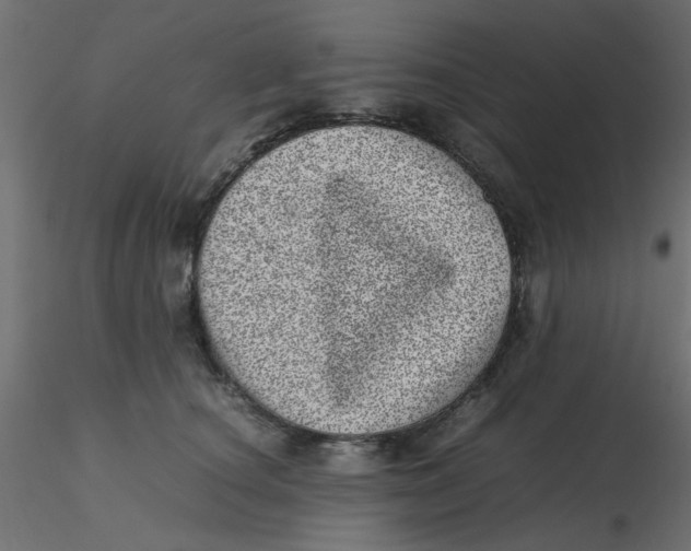 X0000116600660200912312058