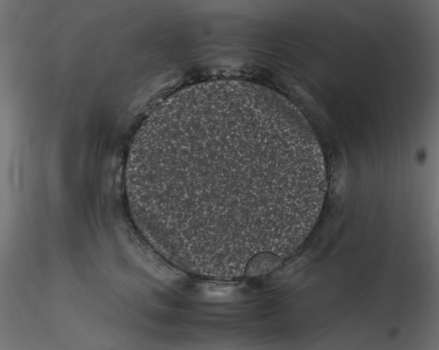 X0000116600661200912312058