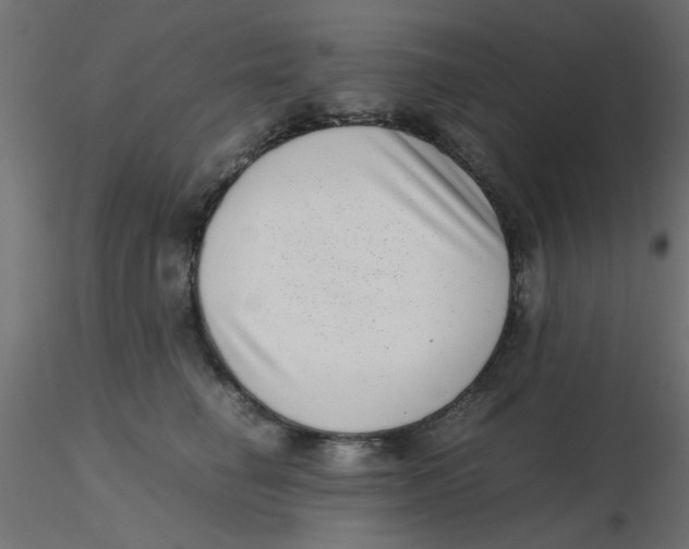 X0000116600662200912312058