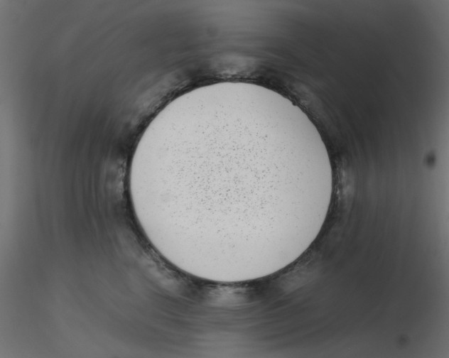 X0000116600664200912312058