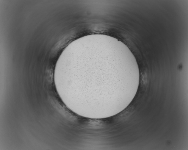 X0000116600666200912312058