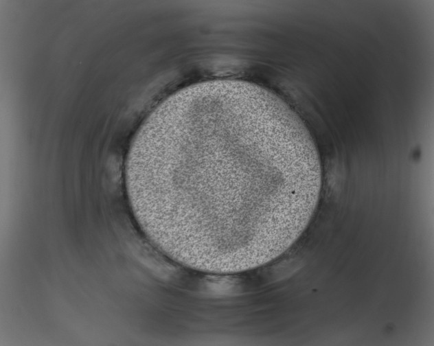 X0000116600667200912312058