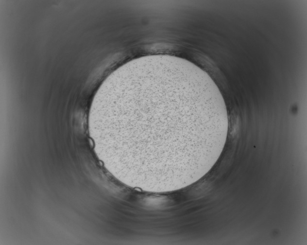 X0000116600669200912312058