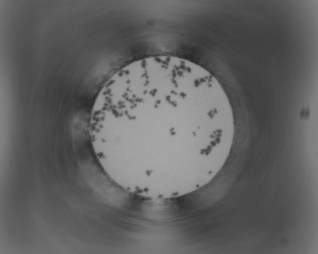 X0000116600672200912312058