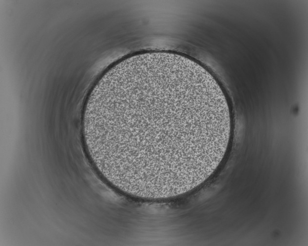 X0000116600673200912312057