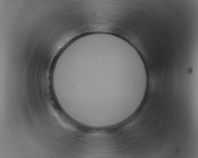 X0000116600674200912312057