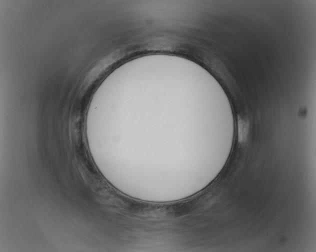 X0000116600675200912312057