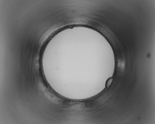 X0000116600676200912312057