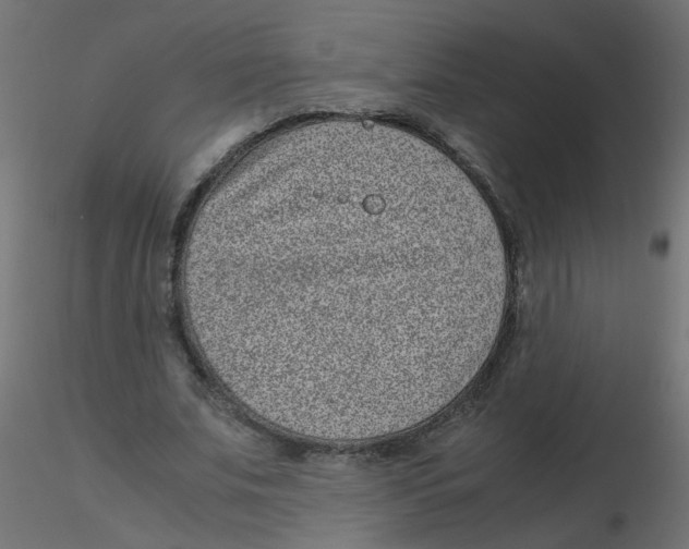 X0000116600679200912312057