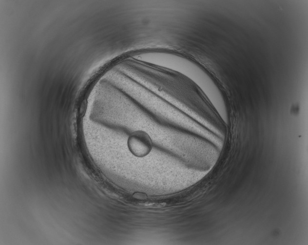 X0000116600680200912312057