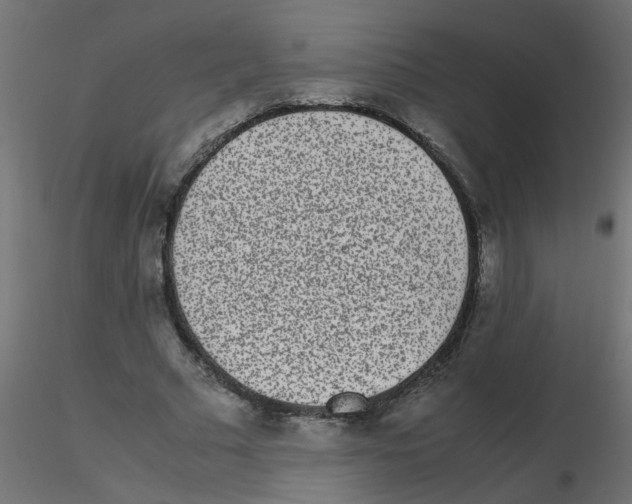 X0000116600681200912312057