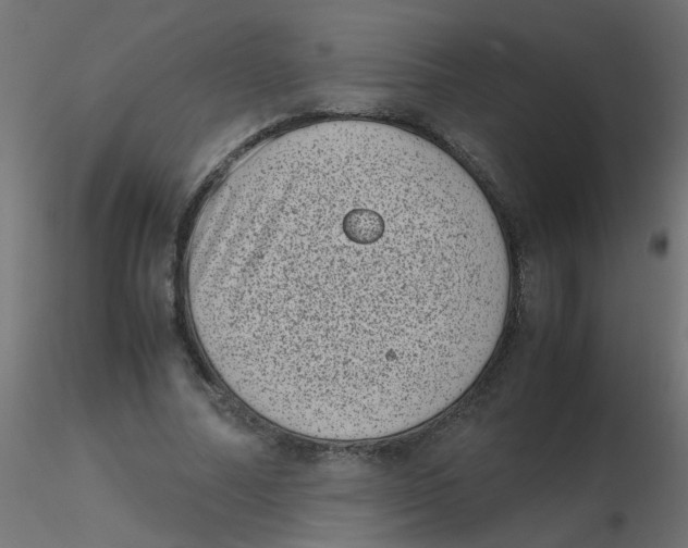 X0000116600682200912312057