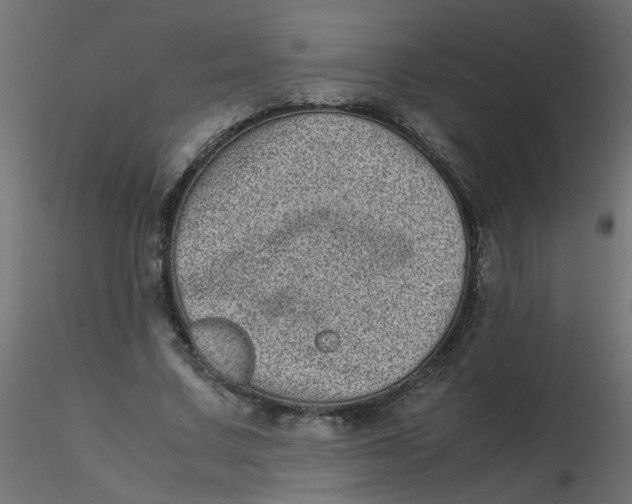 X0000116600683200912312057