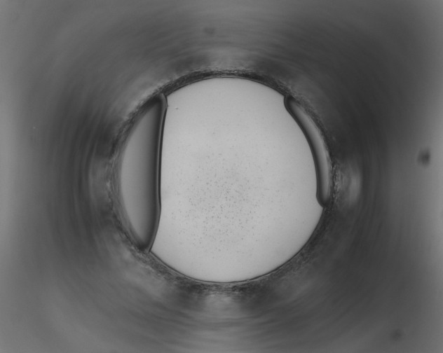 X0000116600684200912312057