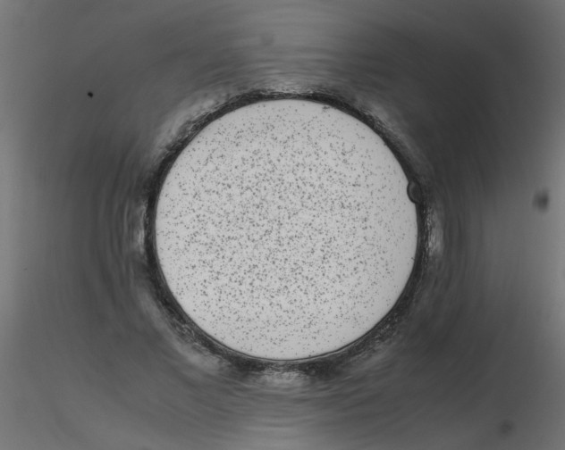 X0000116600685200912312057