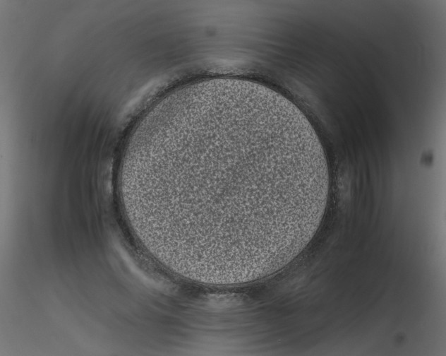 X0000116600686200912312057