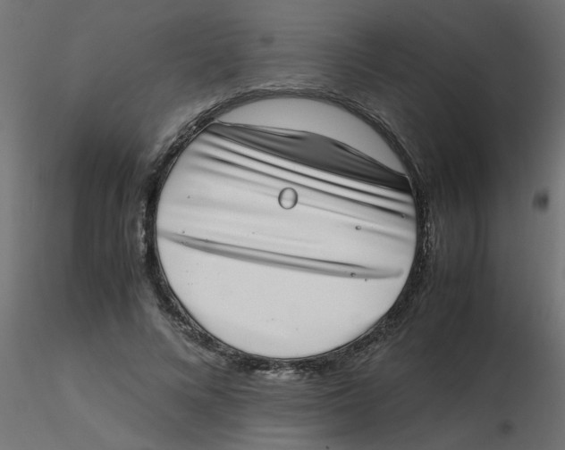 X0000116600688200912312057