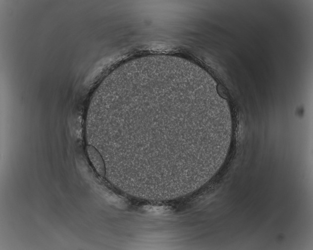 X0000116600689200912312057