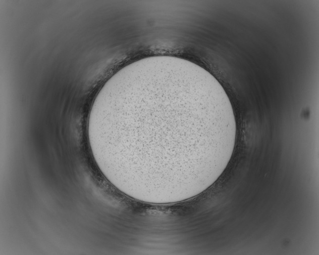 X0000116600690200912312057