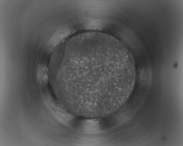 X0000116600692200912312057