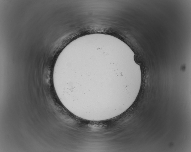 X0000116600693200912312057