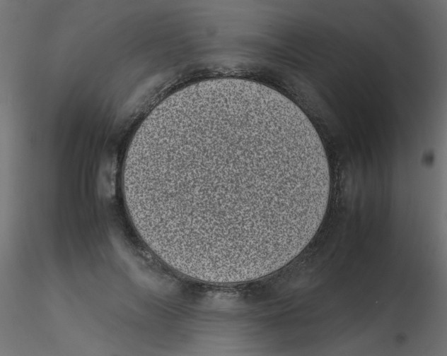 X0000116600694200912312057