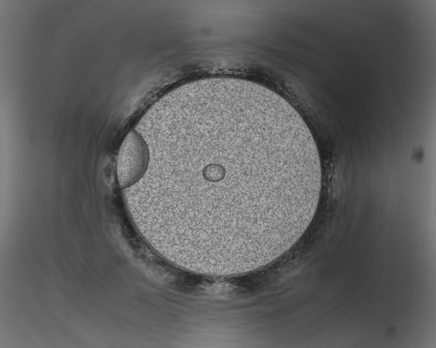 X0000116600695200912312057