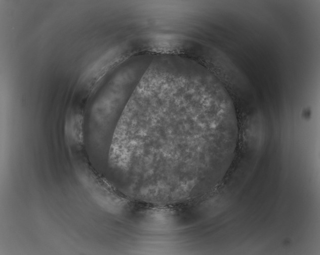 X0000116600696200912312057