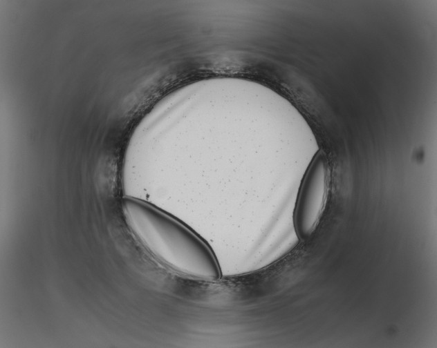 X0000116600697200912312057