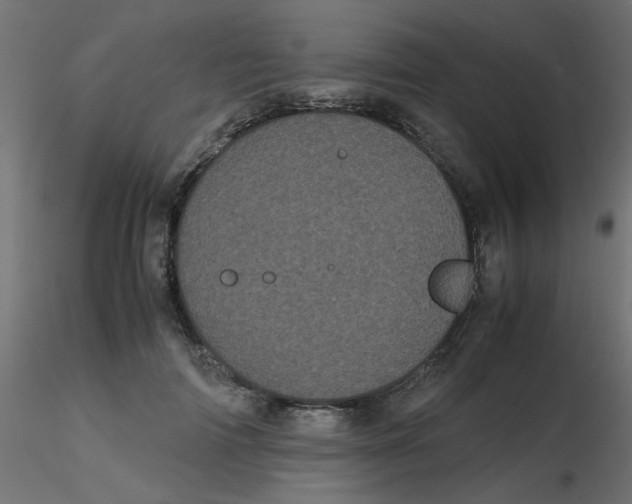 X0000116600698200912312057