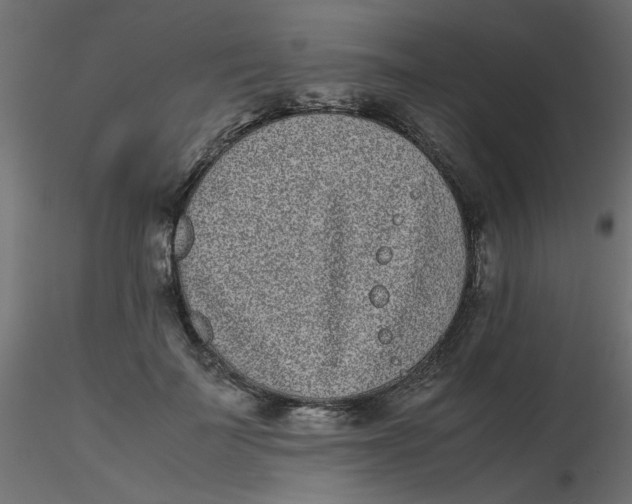 X0000116600699200912312057