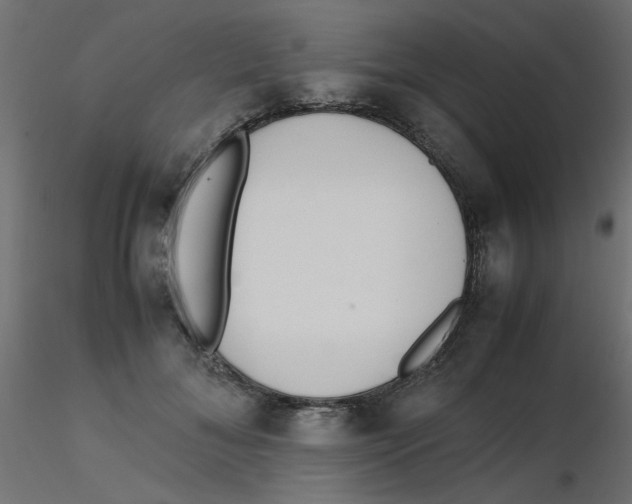 X0000116600700200912312057