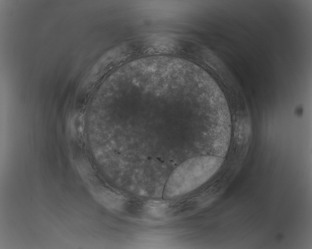 X0000116600701200912312057