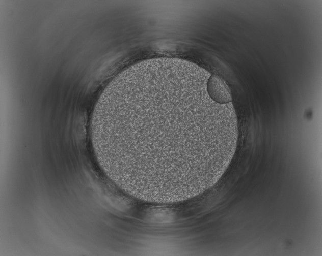 X0000116600702200912312057