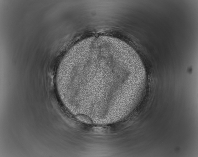 X0000116600703200912312057