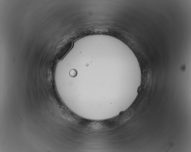 X0000116600704200912312057