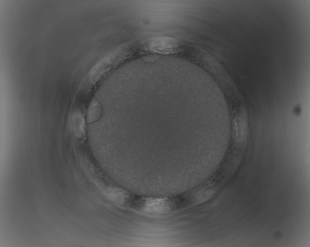 X0000116600705200912312057