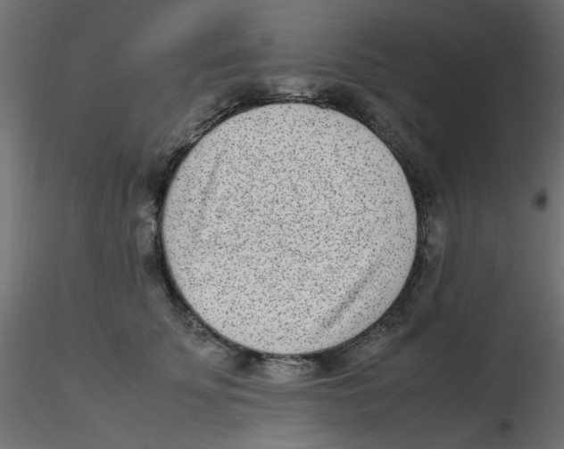 X0000116600707200912312057