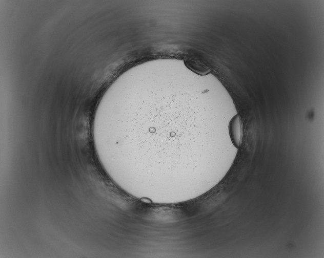 X0000116600708200912312057