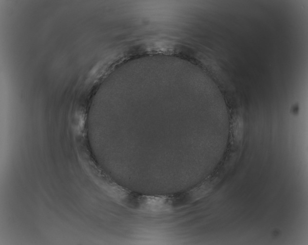 X0000116600709200912312057