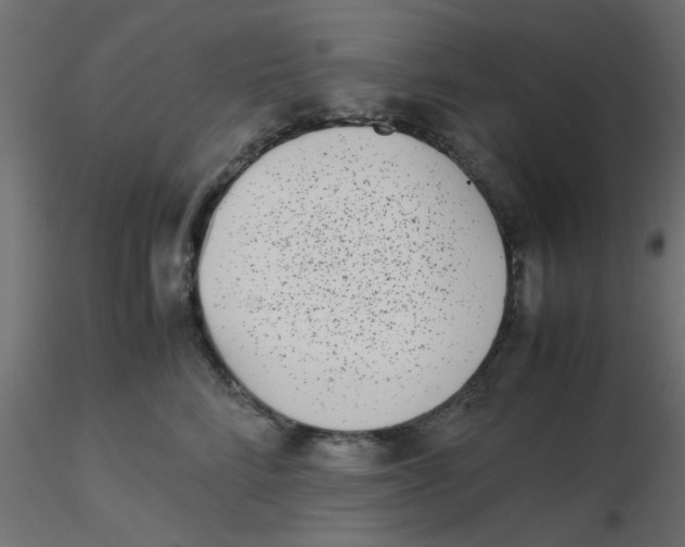 X0000116600712200912312057